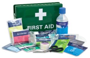 BSI First Aid Travel Kit
